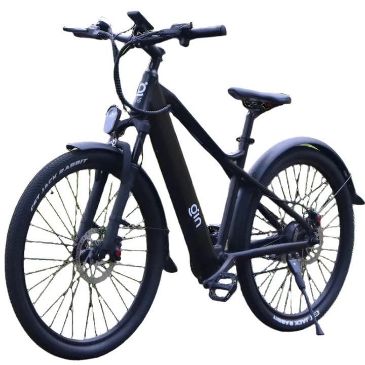 GIN X 500W Electric Hybrid Bike