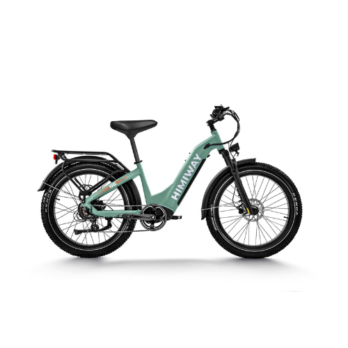 Himiway D5 ST (Zebra ST) | Premium All-terrain Electric Fat Bike