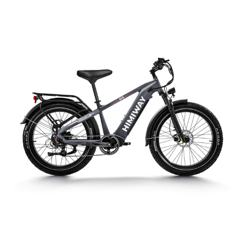 Himiway D5 (Zebra) | Premium All-terrain Electric Fat Bike