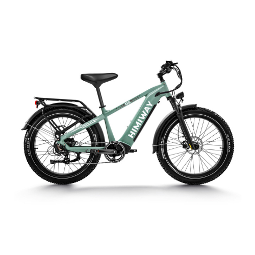 Himiway D5 (Zebra) | Premium All-terrain Electric Fat Bike