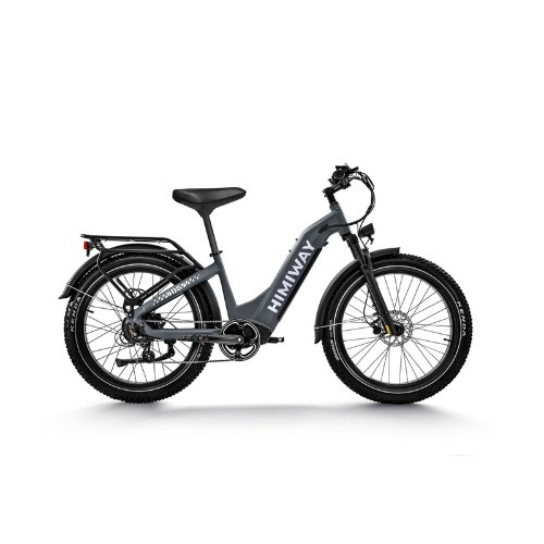 Himiway D5 ST (Zebra ST) | Premium All-terrain Electric Fat Bike